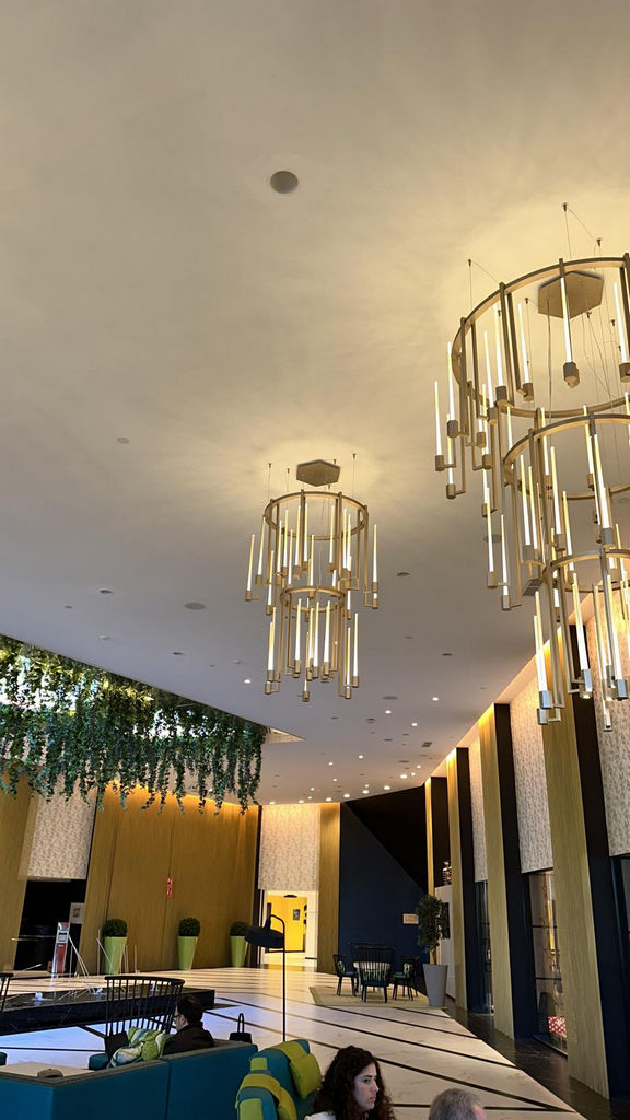 hotel-don-miguel-marbella-003-las-rosas-internacional